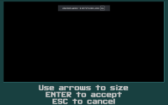 Wolfenstein3D SettingsResolution.png