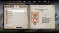 OblivionRemastered CharacterSkills.jpg