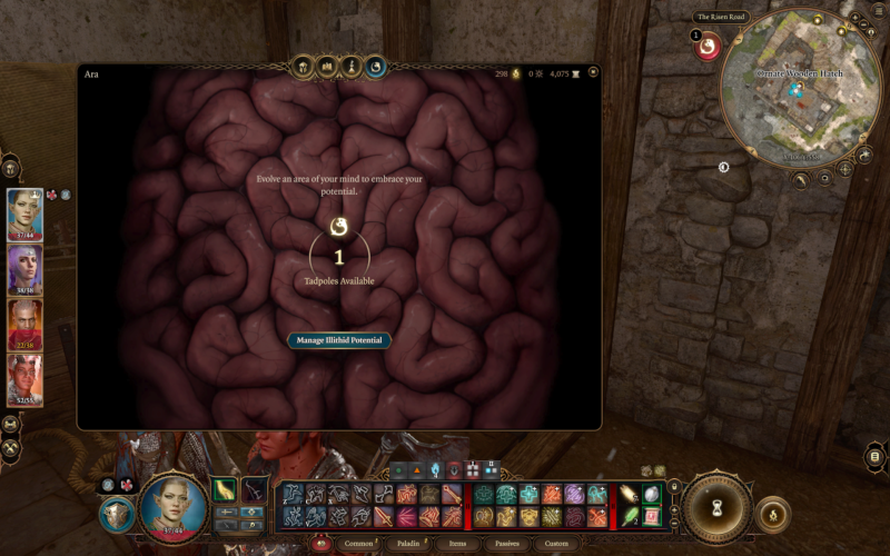 File:BaldursGate3 Character5.png