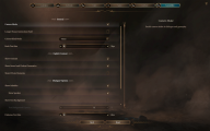 BaldursGate3 SettingsAccessibility.png