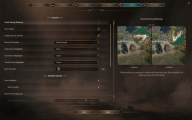 BaldursGate3 SettingsInterface.png