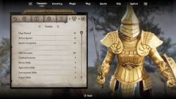 OblivionRemastered CharacterDetails.jpg